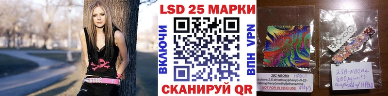 где купить наркоту  Багратионовск  Марки NBOMe 1500мкг 