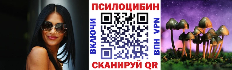 Псилоцибиновые грибы мицелий  купить наркоту  гидра зеркало  Багратионовск 